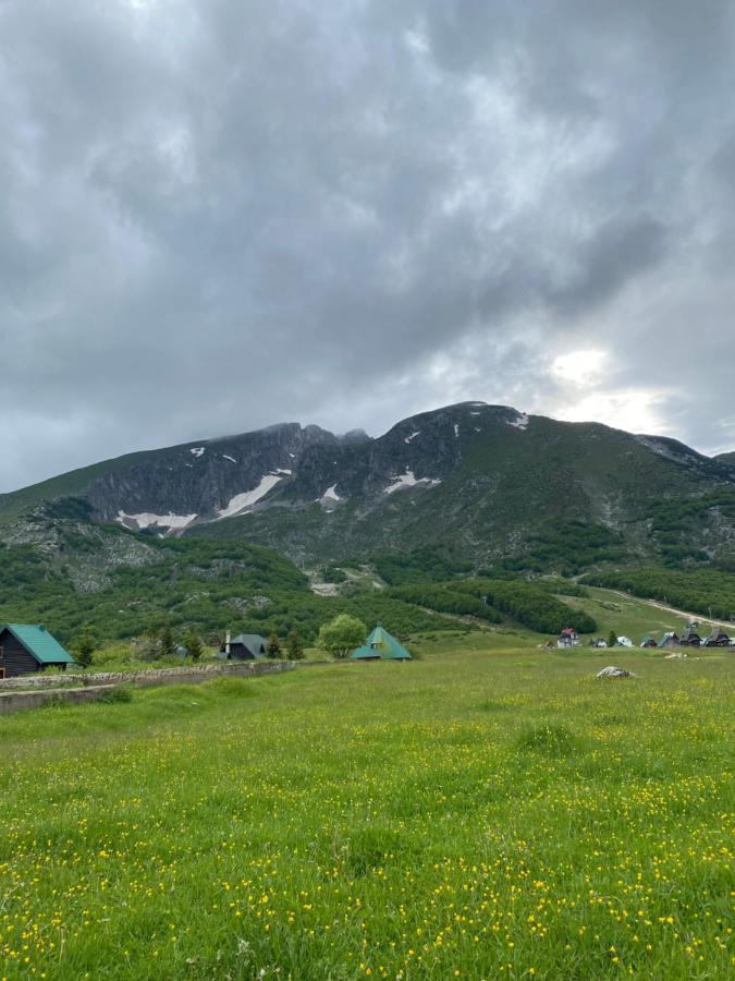 Guesthouse Andrea A Žabljak Exteriér fotografie