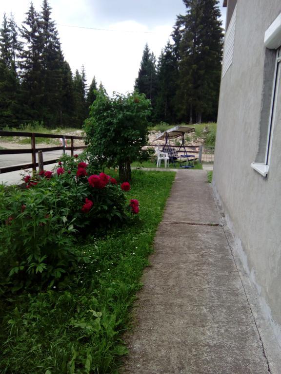 Guesthouse Andrea A Žabljak Exteriér fotografie