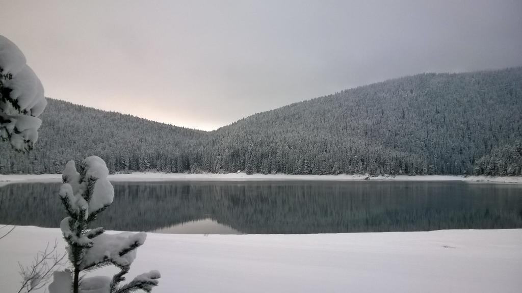 Guesthouse Andrea A Žabljak Exteriér fotografie